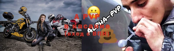 ГАЛЛЮЦИНОГЕННЫЕ ГРИБЫ Кукмор