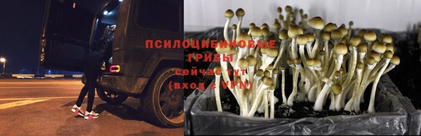 ALPHA-PVP Наволоки