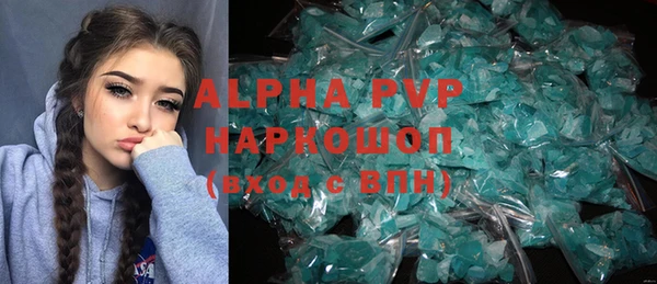 сатива Великий Новгород