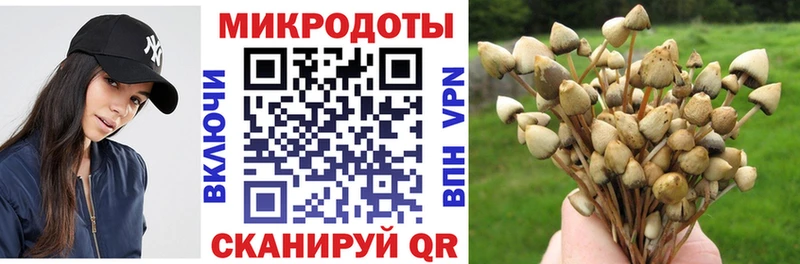 Псилоцибиновые грибы GOLDEN TEACHER  Тула 