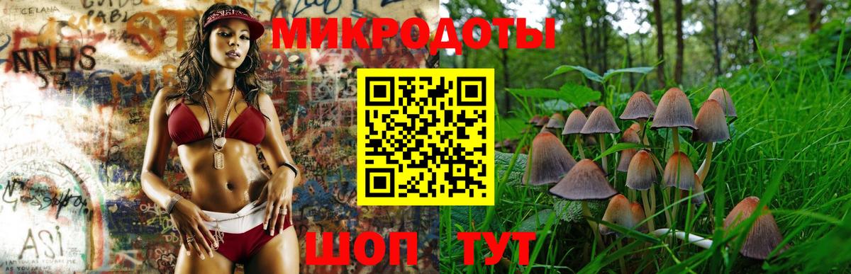 Галлюциногенные грибы Psilocybine cubensis  Вход с VPN  продажа наркотиков  Галлюциногенные грибы ЛСД  Тула 